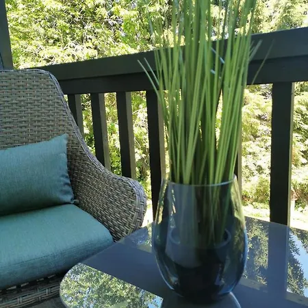 Country-Suites By Verdino Living - Apartments & Suites (Adults Only) Braunlage Eksteriør billede